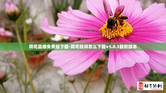 (元素周期表的神奇) 【神秘解码】揭秘元素周期表：驾驭元素之力，揭示科学的魔法秘籍！